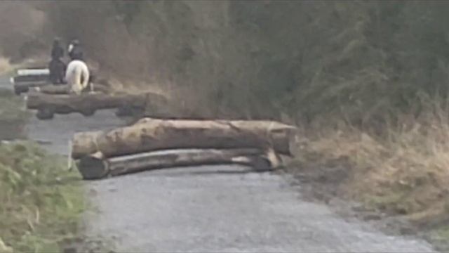 tara grey 15.2 14 year old смотреть онлайн