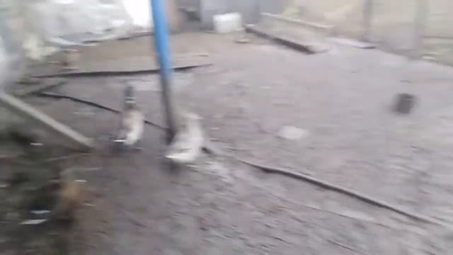 Наше хозяйство! смотреть онлайн
