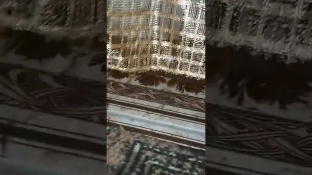 Жаба в номере 😲 смотреть онлайн