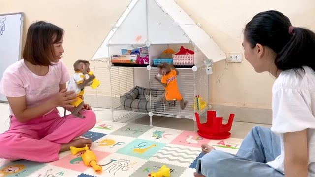 Monkey Pukas cute reaction when he met Monkey Pupu