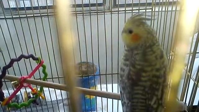 моя стеша смотреть онлайн