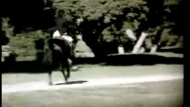 I Just Called To Say I Love You Stevie Wonder