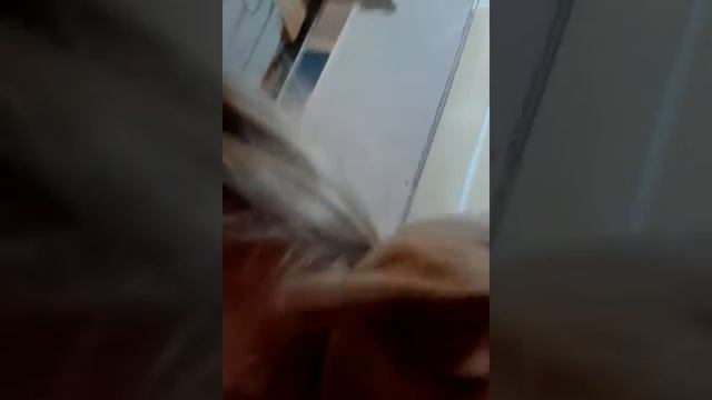 Моя Пикси смотреть онлайн