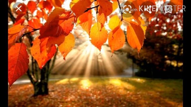 Куз мезгили конокко келди смотреть онлайн