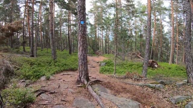 Garmin Fenix 5 Plus Hike 4K смотреть онлайн