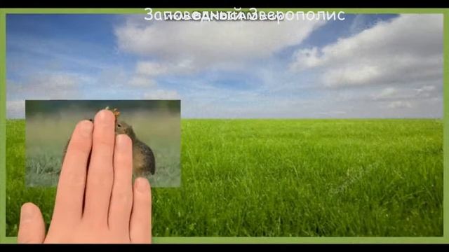 Заповедный Зверополис смотреть онлайн