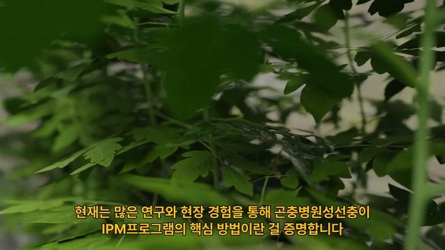 곤충병원성선충을 이용한 나방 방제(Introducing Entonem And Capsanem)