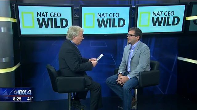 'Monster Fish' host speaks at Perot Museum смотреть онлайн