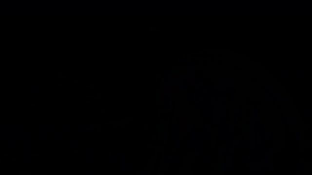 symbiosis смотреть онлайн