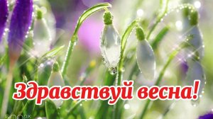 Здравствуй весна! Желаю вам Весеннего настроения.
