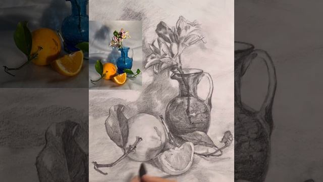 Graphite Tonal Still Life Drawing смотреть онлайн