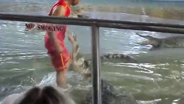 Шоу крокодилов  Бесстрашный таец