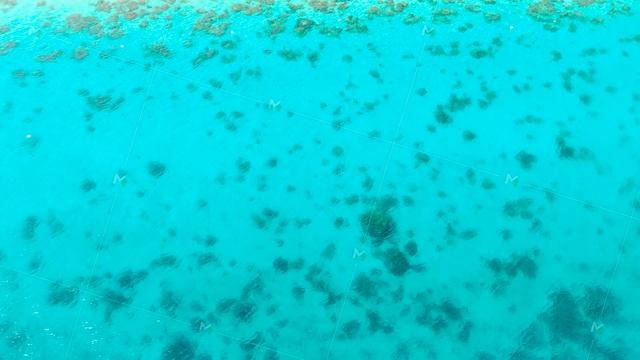 Transparent turquoise sea water, natural background. смотреть онлайн