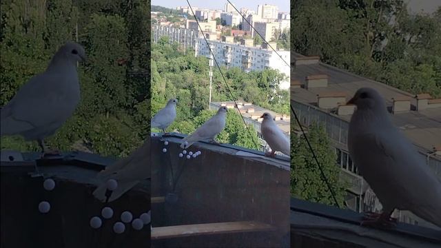 Все на месте.👌 смотреть онлайн