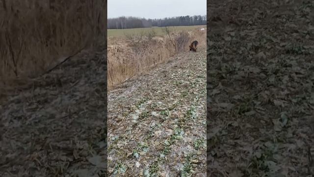 Скоро весна. смотреть онлайн