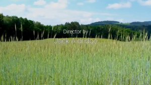 Сборник титров. №20. Collection of titles. №20.