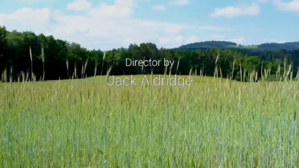 Сборник титров. №20. Collection of titles. №20.