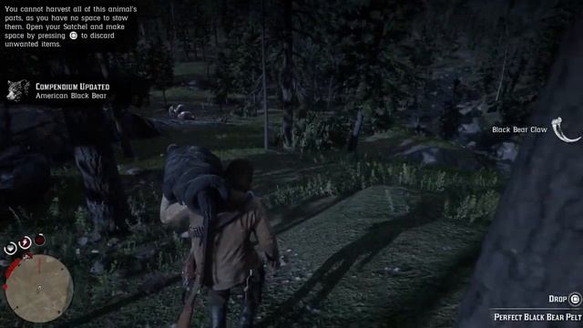 Red Dead Redemption 2 easy method master Hunter 5 Best location grizzly location spawn смотреть онлайн