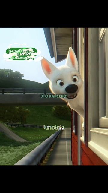 Вольт впервые пробует собачьи штучки смотреть онлайн