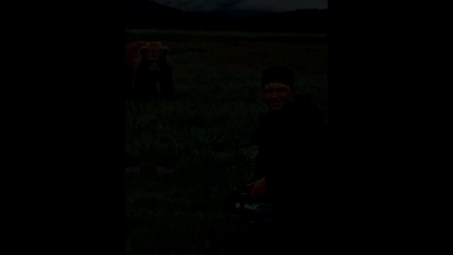 DEVORADO:  El Audio De Timothy Treadwell