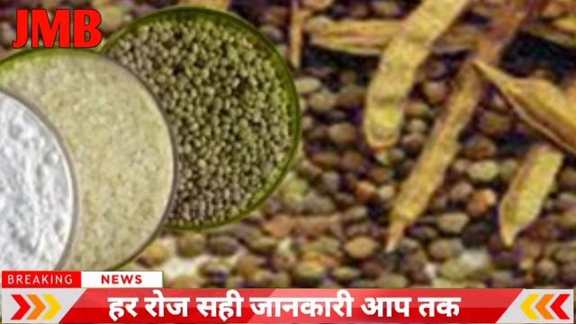 22 April 2024 Guar rate today, guar mandi bhav, guar ka taza bhav, guar bhav today,#guarkatazabhav смотреть онлайн