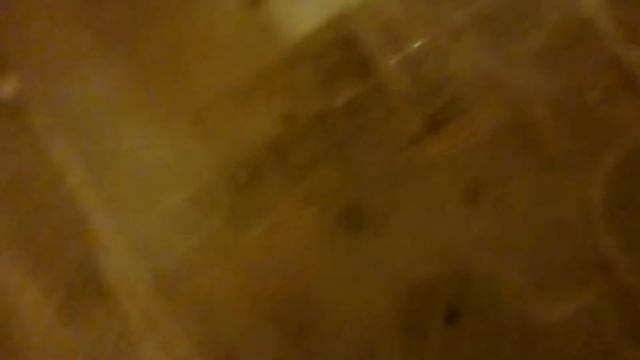 Ants canada | omni nest update #29 смотреть онлайн