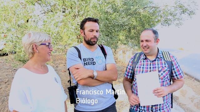 BIODIVERSIDAD Y OLIVAR, OLIVARES VIVOS Y CASAS DE VIDA смотреть онлайн