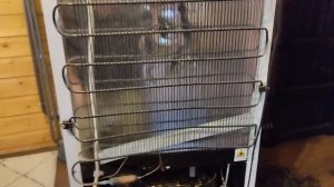 Холодильник Бирюса не включается