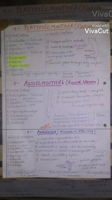 Best handwritten notes for ANIMAL KINGDOM Class 11 Biology смотреть онлайн