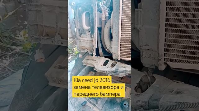 Quirky Quaint Queerness