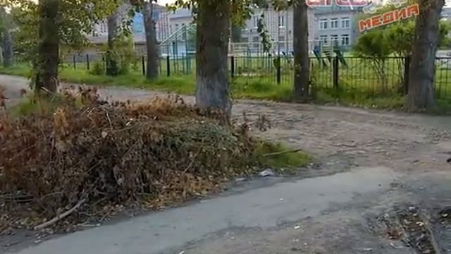 Кто в Артёмовском скосит траву? Руководству некогда смотреть онлайн