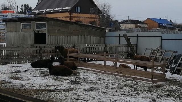 По любым вопросам обращайтесь +7 9192404323, Михаил смотреть онлайн