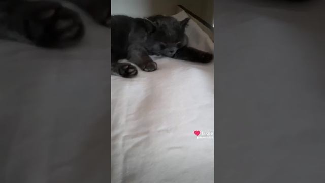 На посту😀 смотреть онлайн