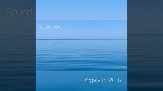 Нереально чистое и спокойное море. Дельфин 🐬