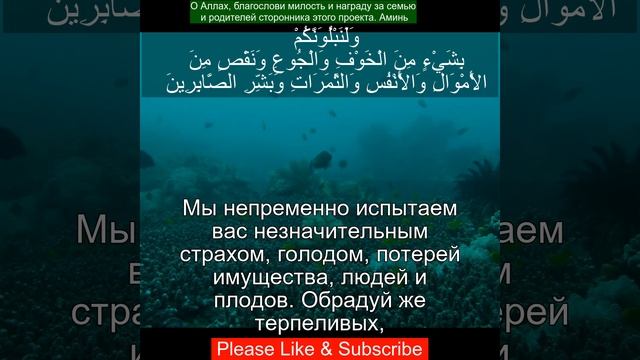 Коран Сура Аль-Бакара | P-5 | Чтение Корана с русским переводом | Quran Translation in Russian смотреть онлайн