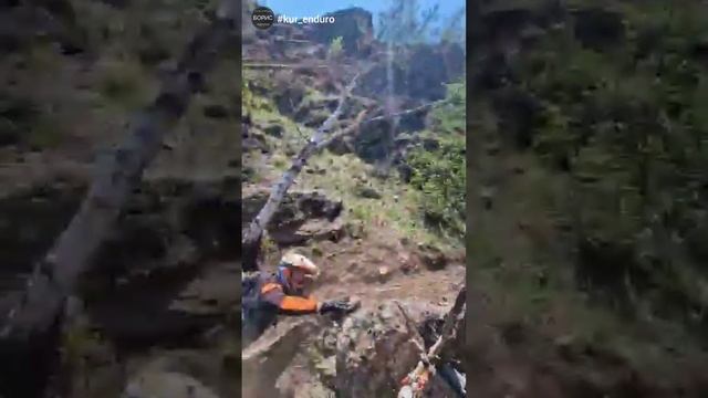 нормально так