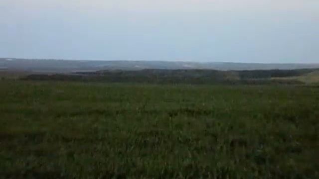 6 июня 2021 г. смотреть онлайн