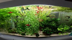 Aquael Opti Set 125l