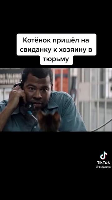 Котёнок пришёл на свидание к хозяину в тюрьму смотреть онлайн