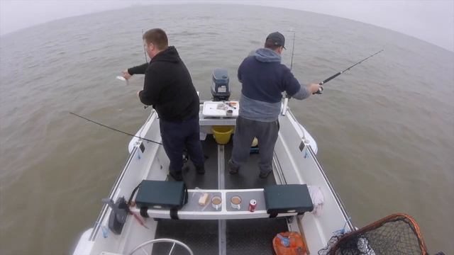 Sea Fishing at Harwich/Dovercourt bay, Whiting and Dogfish Episode 1 смотреть онлайн