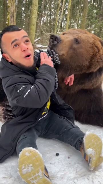 Кормлю медведя 🐻 #shorts смотреть онлайн