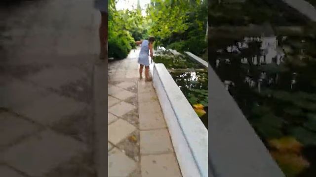 Никитский ботанический сад 2018 смотреть онлайн