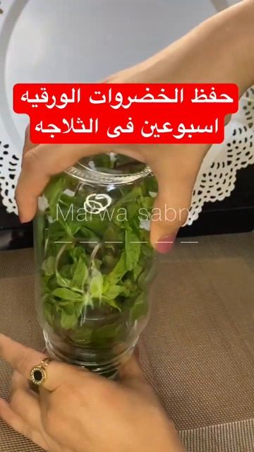 طريقه حفظ النعناع والبقدونس و الخضروات الورقيه ١٥ يوم فى الثلاجه #حفظ_النعناع #shorts #mint #وصفات смотреть онлайн