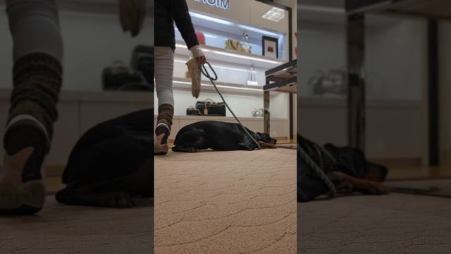 Miss Eris exploring new social areas. смотреть онлайн