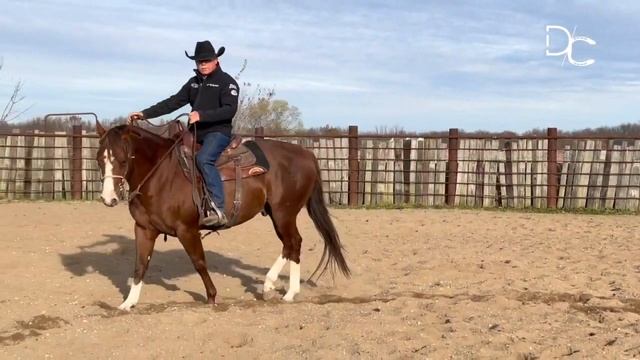 D/C. HOW TO GET THE CORRECT CANTER LEAD DEPARTURES... Every Time 🐎 смотреть онлайн