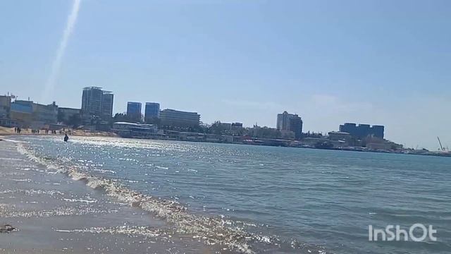 АНАПА. 15 апреля 2023 г. +18 гр. Лебеди на центральном пляже. смотреть онлайн