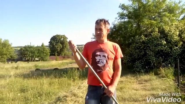 Кролики, смотреть онлайн