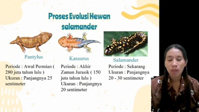 EVOLUSI SALAMANDER || Mata Kuliah Evolusi