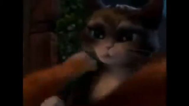 самые смешные видео про животных, со всего рунета[2] смотреть онлайн