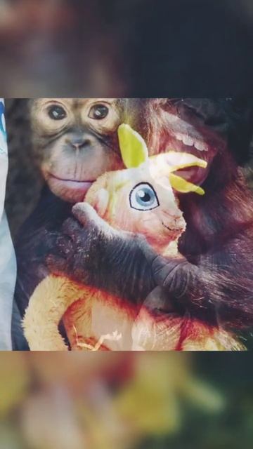 Как это ...? смотреть онлайн